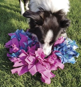 hundarnas_salong_snuffelmatta