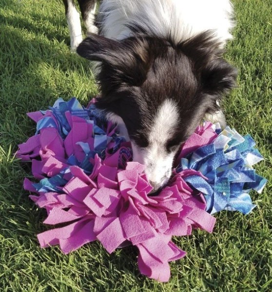 hundarnas_salong_snuffelmatta