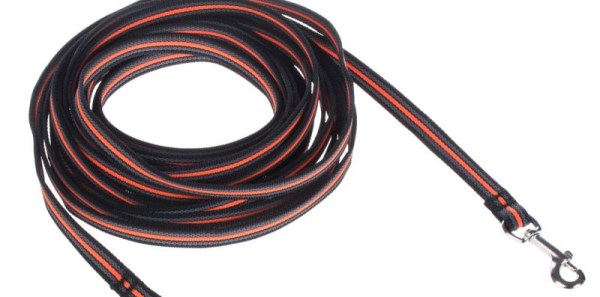 hundarnas_salong_spårlina